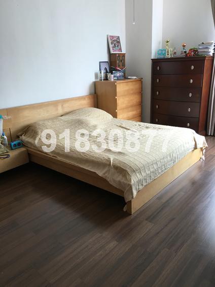 The Atria At Meyer (D15), Condominium #125505022